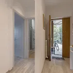 Camogli Golfo Paradiso- 公寓 *