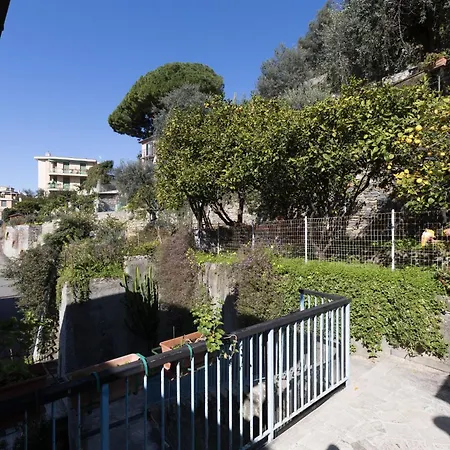 公寓 Camogli Golfo Paradiso- *